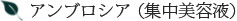 アンブロシア（集中美容液）